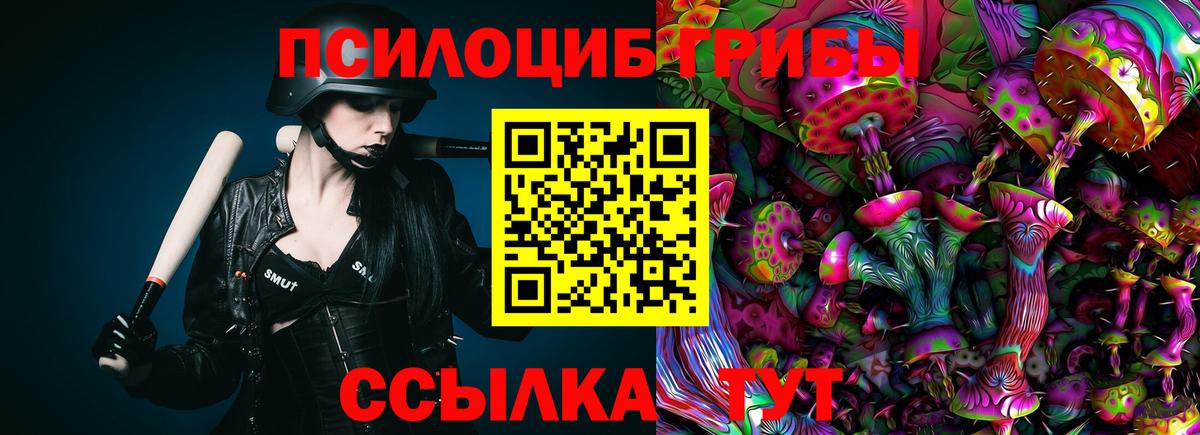 Орск  Псилоцибиновые грибы Cubensis  Псилоцибиновые грибы Cubensis  Вход с VPN 